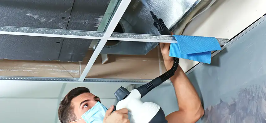 Our Air Duct Rodent Removal Services in La Verne, CA