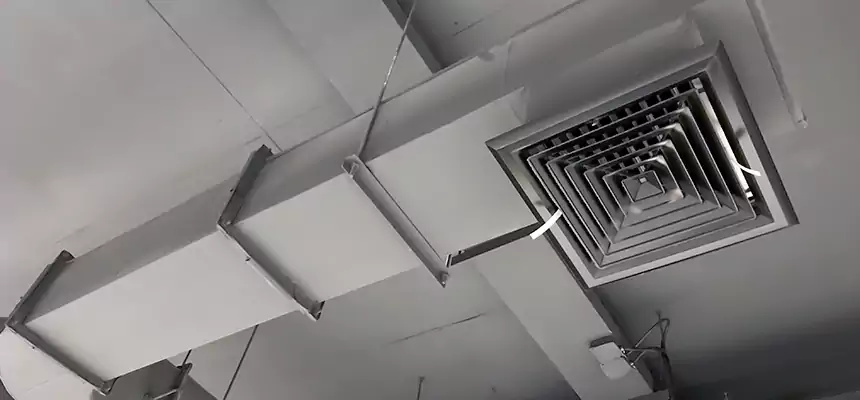 Our Pest Removal From Ducts Services in La Verne, CA