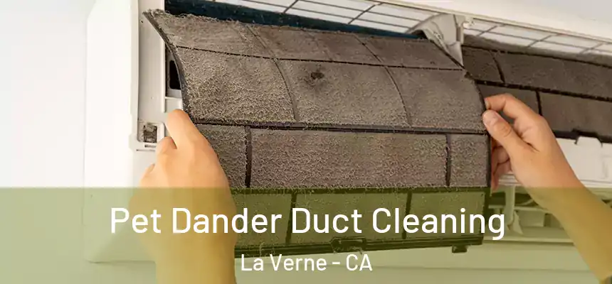Pet Dander Duct Cleaning La Verne - CA