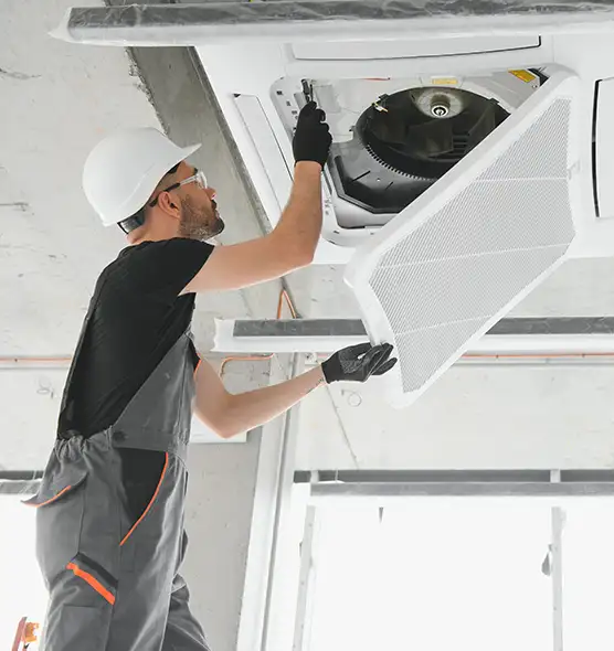 About Air Duct Rodent Removal in La Verne, CA