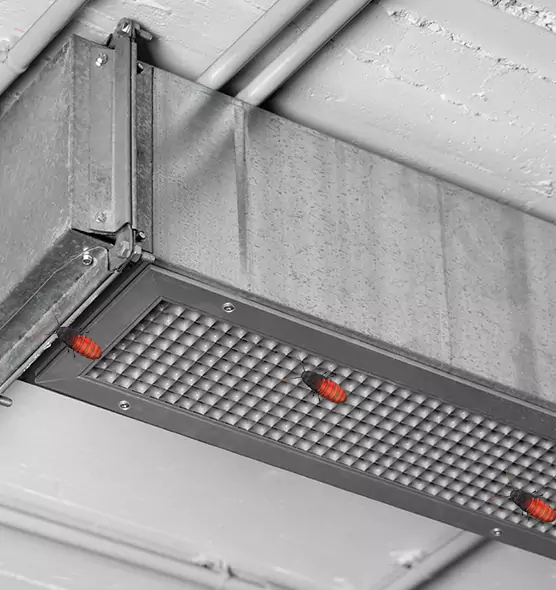 Affordable Insect Removal from Air Ducts in La Verne, CA