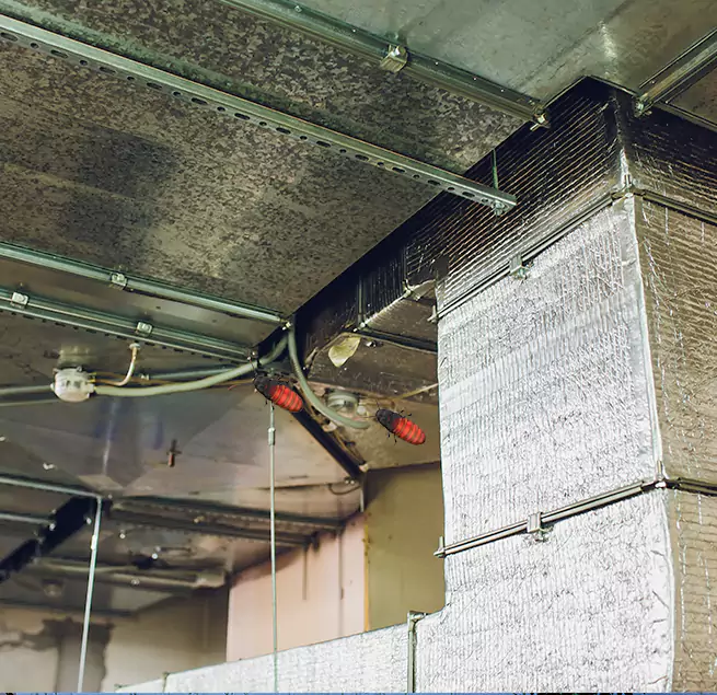 Why Homeowners & Businesses Trust Us in La Verne, CA?