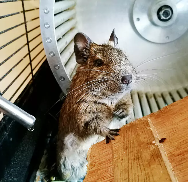 Why Homeowners & Businesses Trust Us La Verne, CA